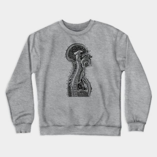 Upper Body Diagram - Vintage Anatomy Crewneck Sweatshirt by Vintage Anatomy Prints